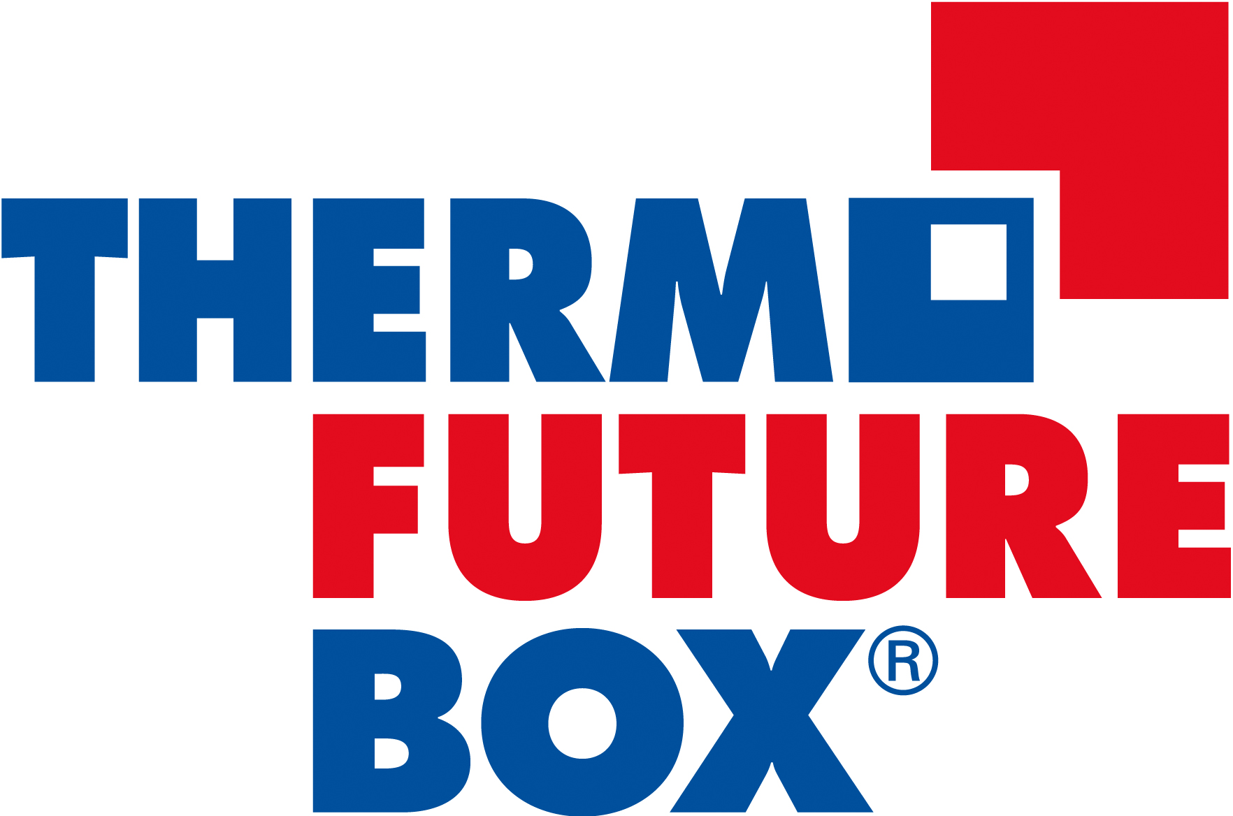 in EPP Contenitore Termico per Pizza Family Interno 420 x 420 x 122 mm Thermo Future Box Polipropilene espanso Nero 